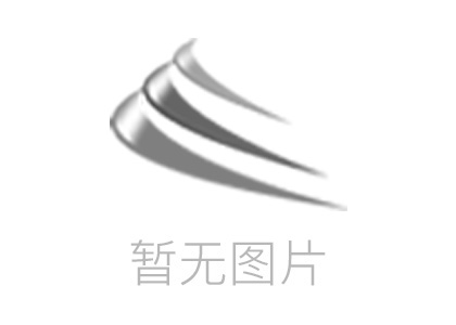改性地聚合物注漿料